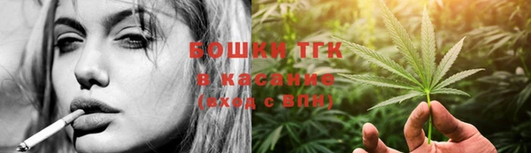 PSILOCYBIN Вяземский